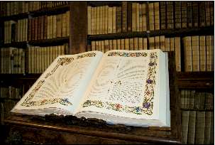 Codex Pauli